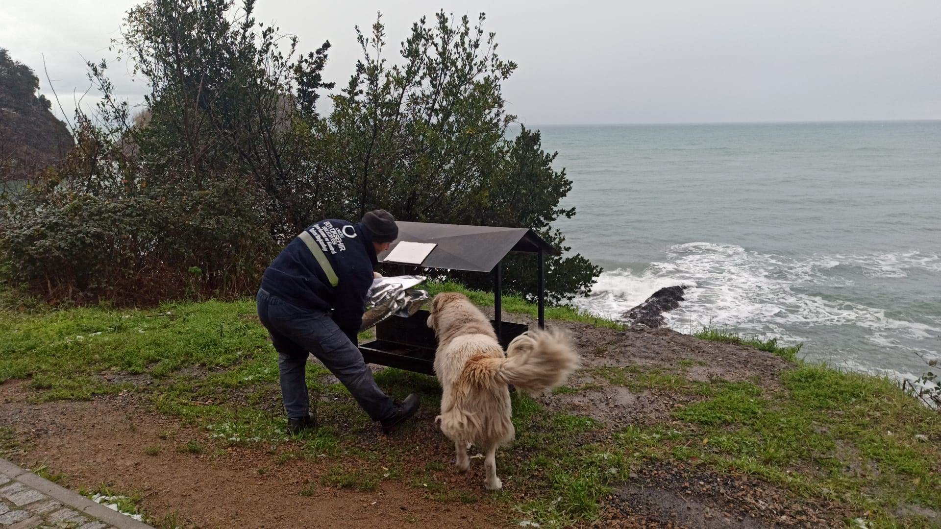BÜYÜKŞEHİRDEN SOKAK HAYVANLARINA MAMA DESTEĞİ